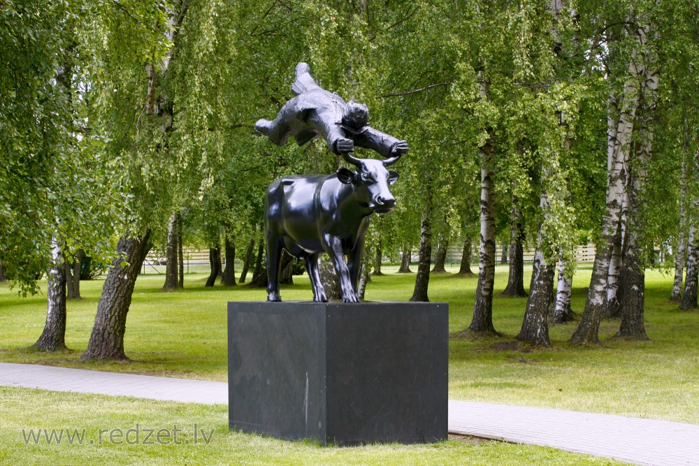 A Midsummer night’s levitation of an entrepreneur above a Kurzeme Blue Cow