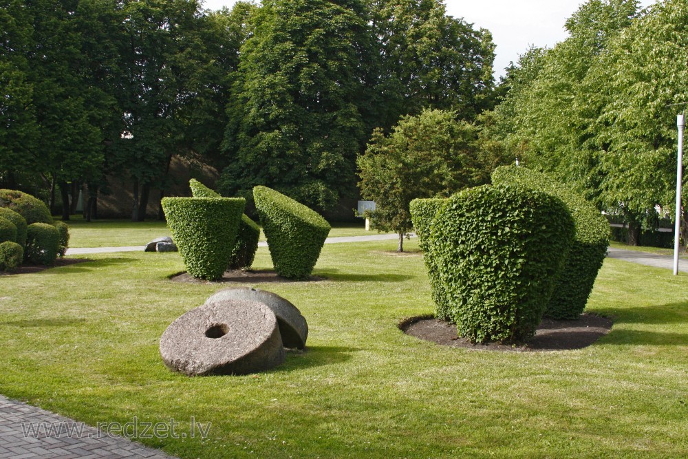 Shaped bushes in Mill Square, Ventspils