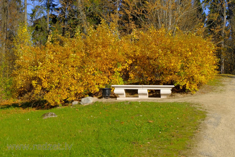 Akmens sols Alūksnes pils parkā