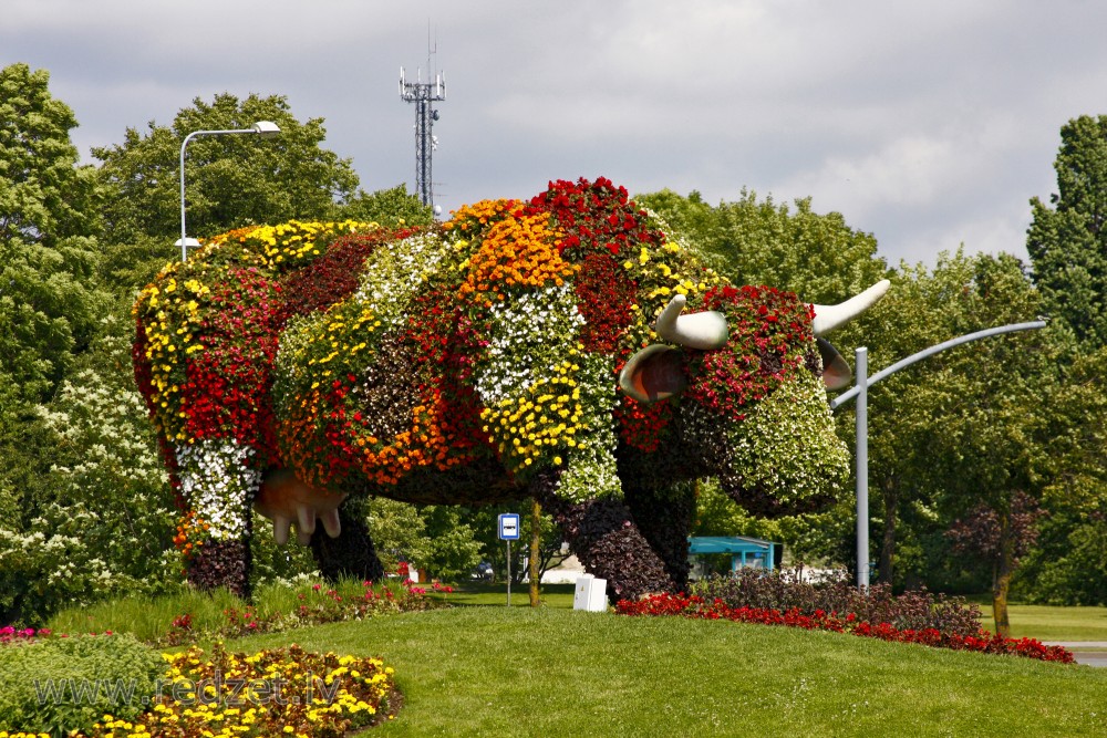 "Flower Cow" in Ventspils, Latvia