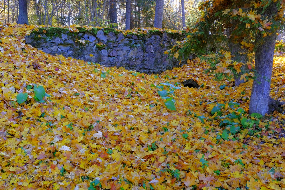 Alūksnes pils parks rudenī