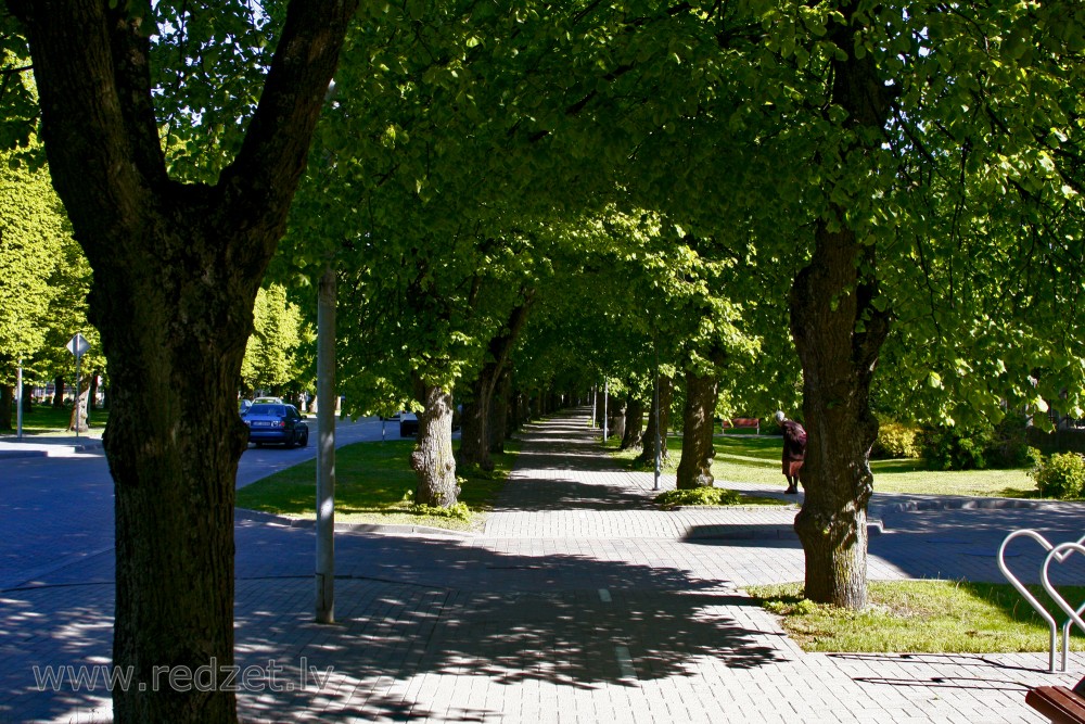 Figurālie koki Kuldīgas ielā