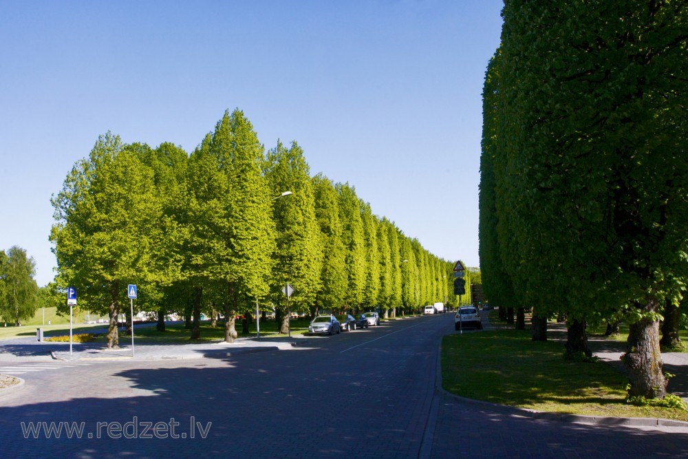 Figurālie koki Kuldīgas ielā
