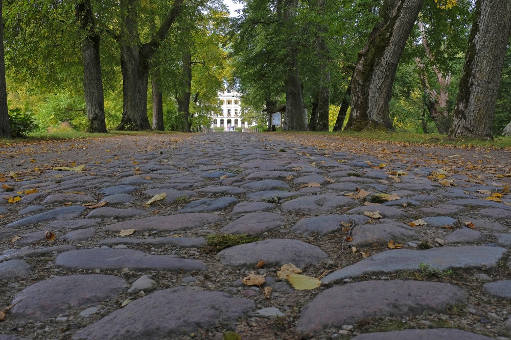 Pavement in Kazdanga