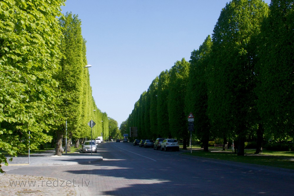 Figurālie koki Kuldīgas ielā
