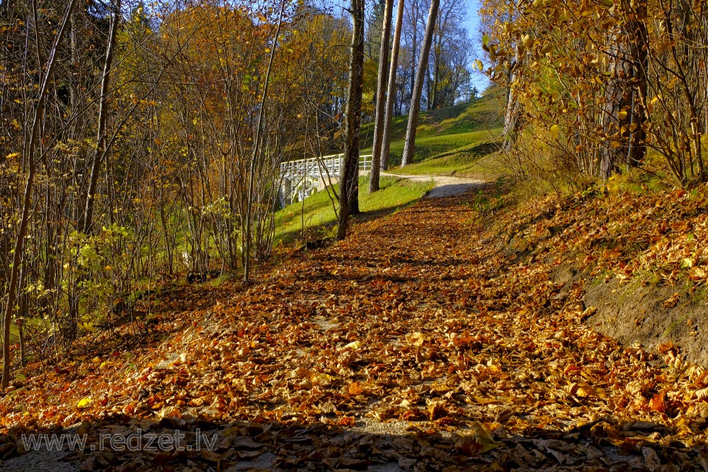 Rudens Tempļa kalnā