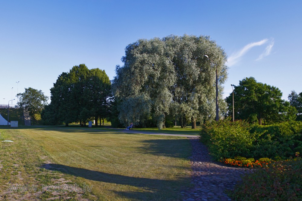Bridge Garden Landscape