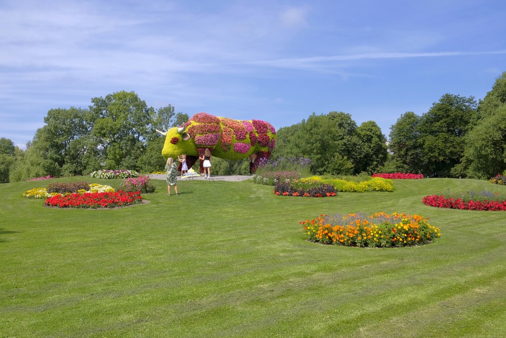 Flower Cow