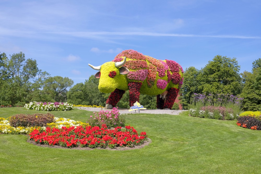 Flower sculpture PUĶU GOVS