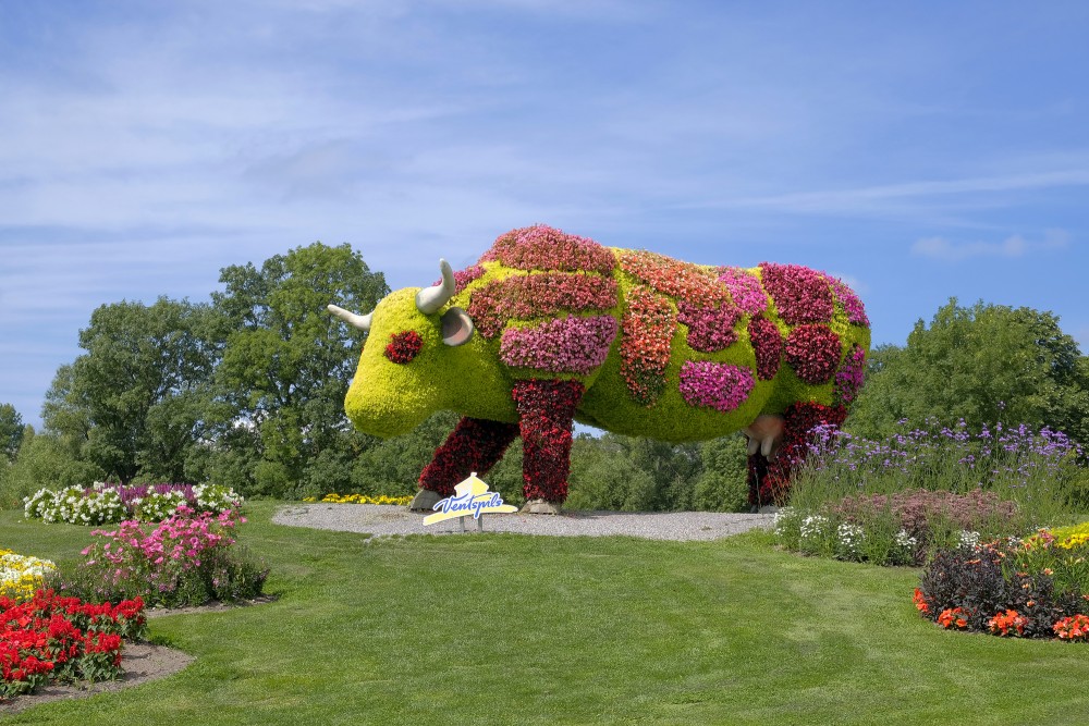 Flower Cow