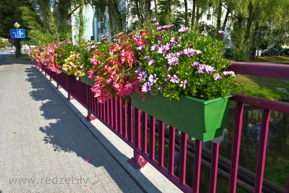 Ziedu dobes uz tiltiņa margām Ventspilī Ziedu dobes uz tiltiņa margām Ventspilī