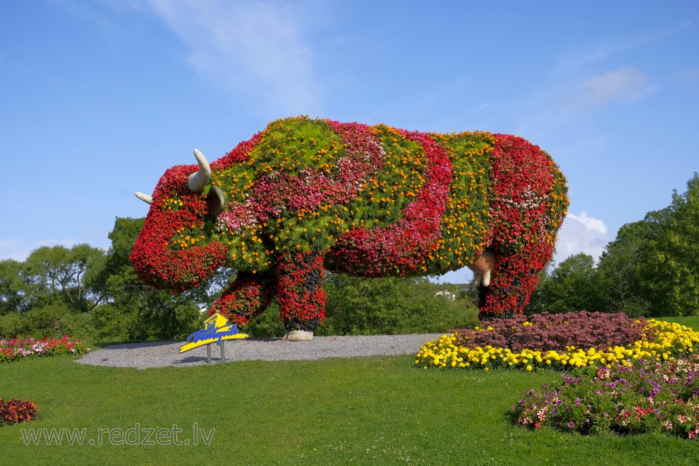 Flower bed "Flower Cow"