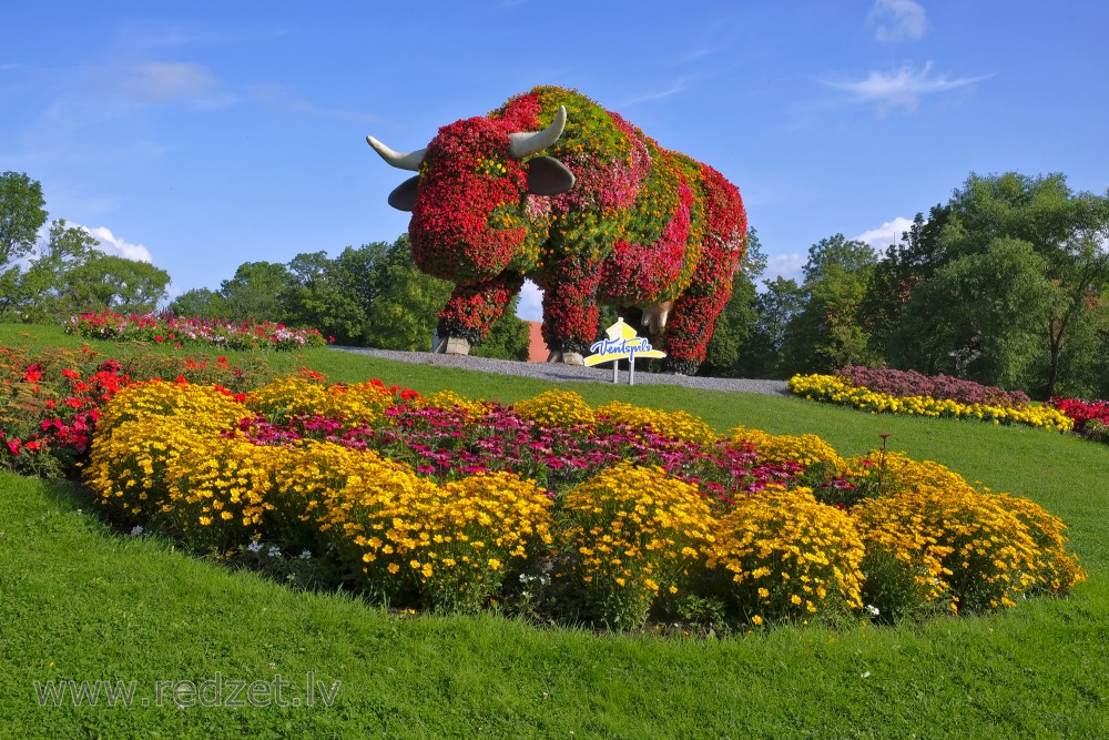 Flower bed "Flower Cow"