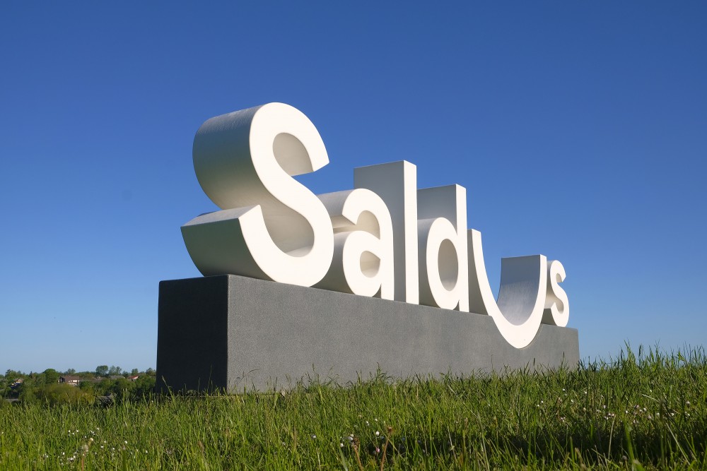 Saldus pilsētas zīme Biļļu kalnā