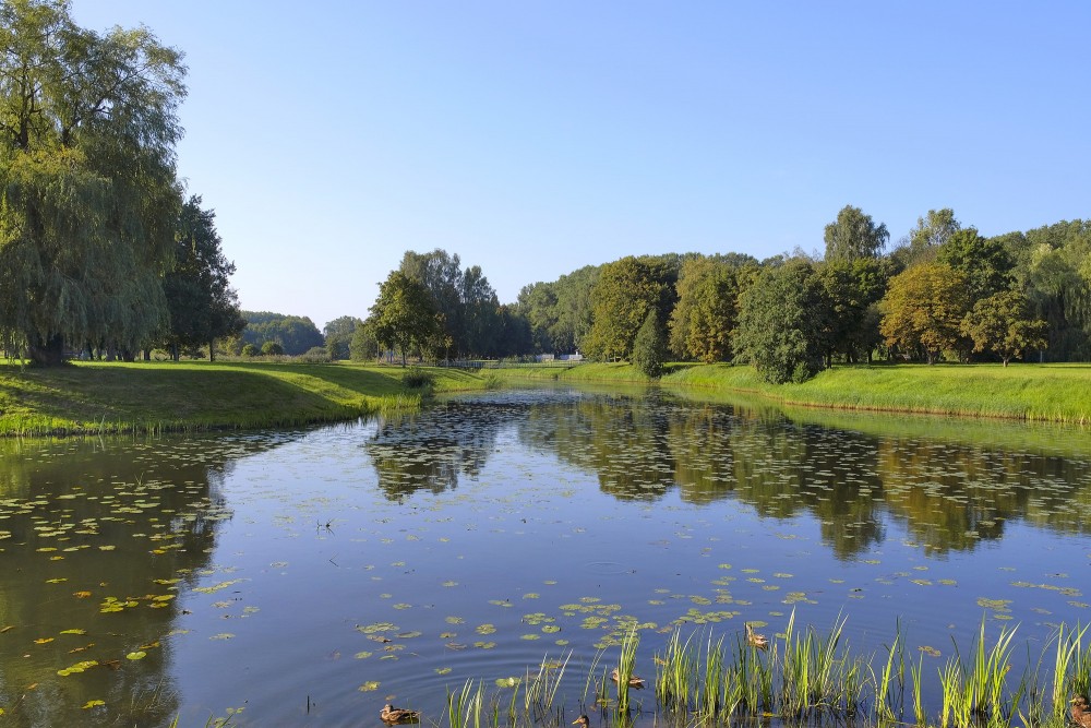 Bārtas upe ar ūdensaugiem un mierīgu ainavu Skodas pilsētas parkā