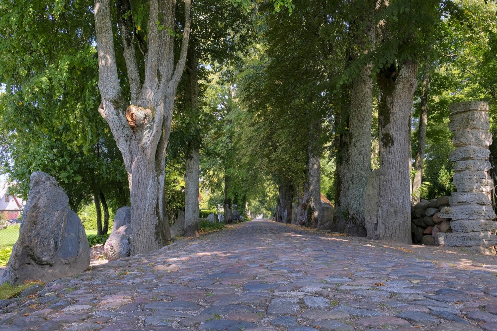 Veca bruģēta aleja ar dižkokiem un akmens stabiem Mosēdē, Lietuva