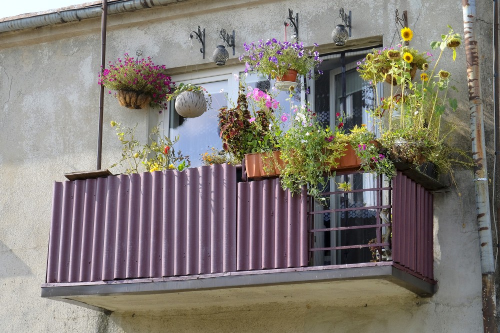 Balkons ar krāsainiem ziediem un saulespuķēm pie mājas sienas