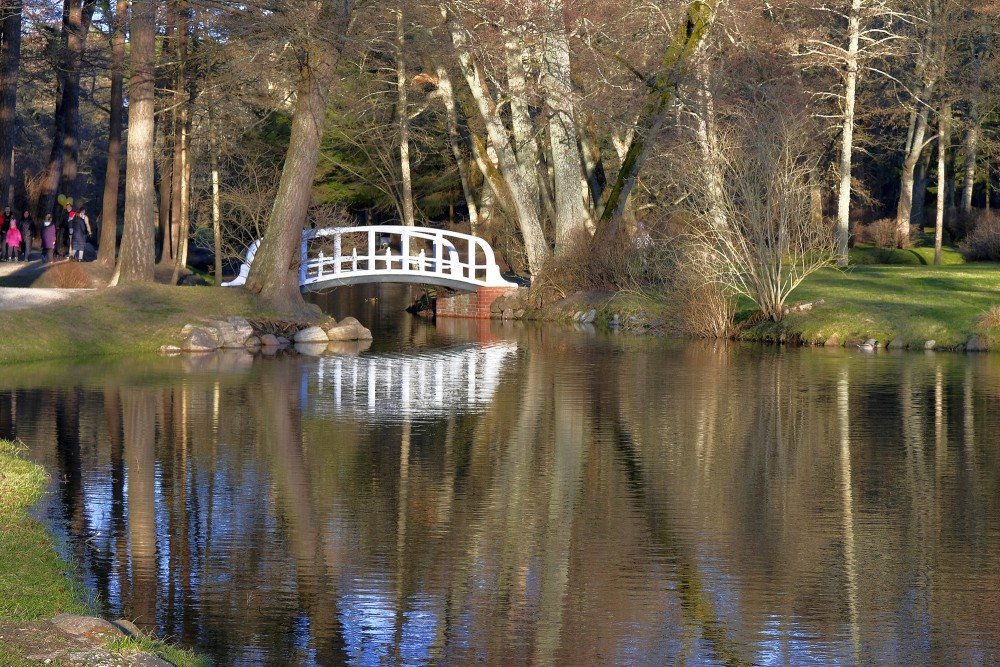 Balts gājēju tiltiņš pāri dīķim Birutes parkā ar koku atspulgiem ūdenī
