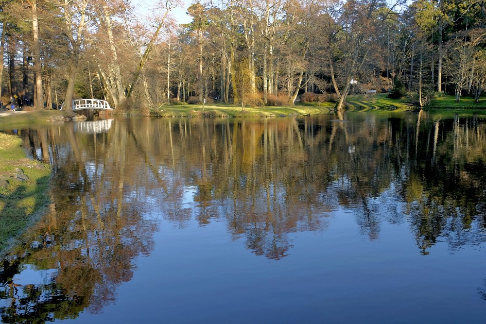 Plašs dīķis Birutes parkā ar koku atspulgiem un balto gājēju tiltiņu tālumā