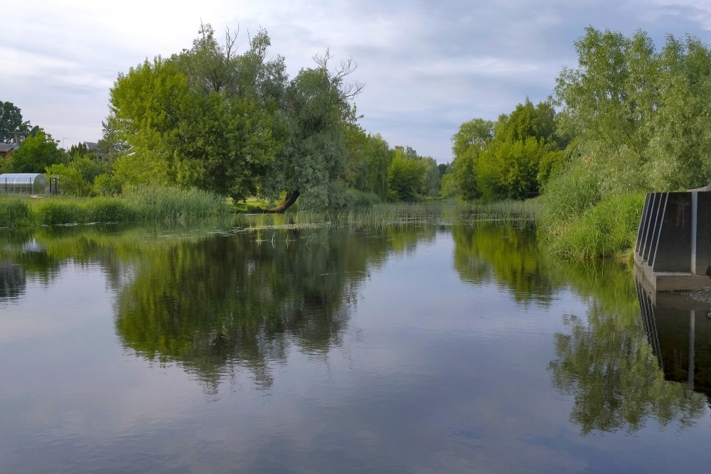 Šešupė river with green banks in Marijampolė