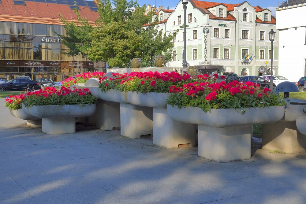 Koši sarkani ziedi betona puķu podos Klaipēdas centrā