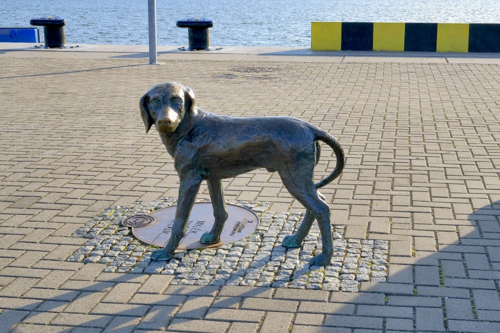 Suņa bronzas skulptūra no ansambļa Bērnības sapnis Klaipēdā
