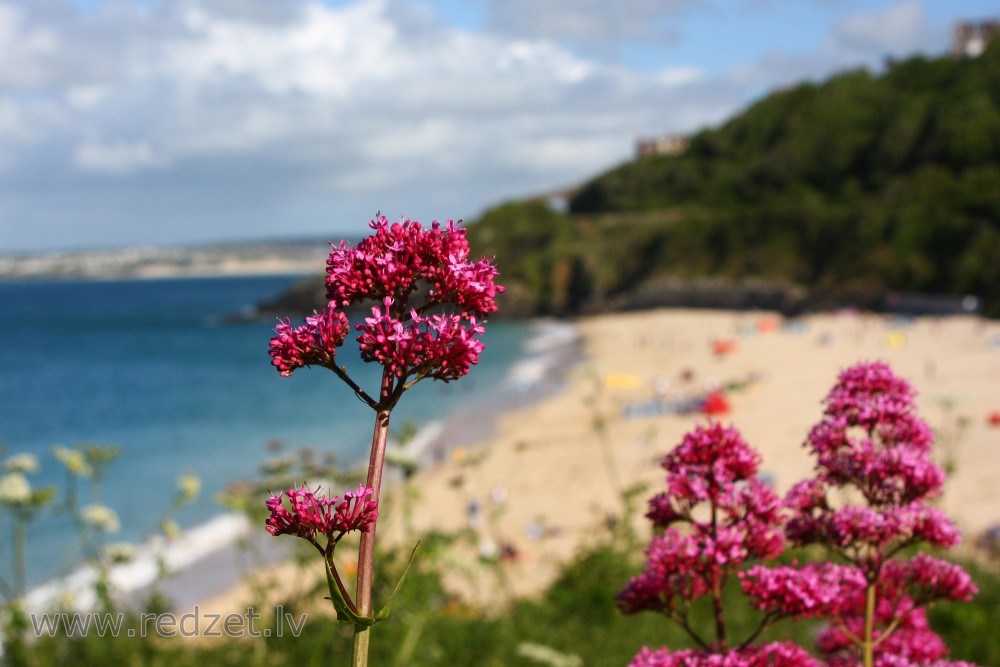 St Ives