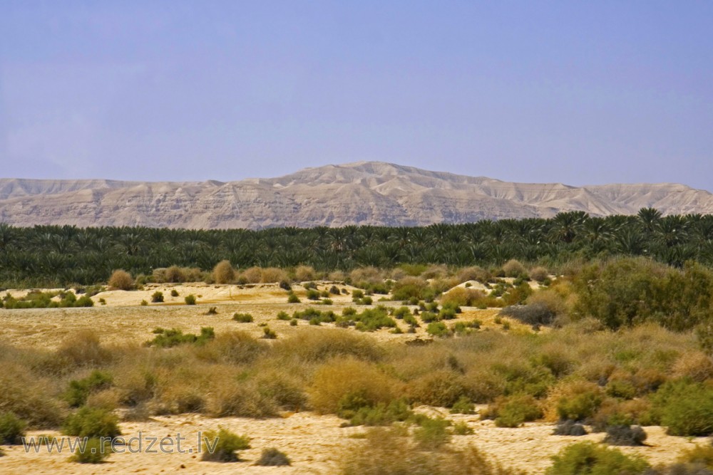 Izraēlas ainava