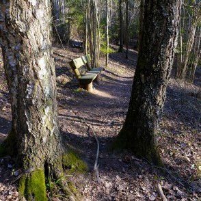 Bench in Barona Trail of Vilce Nature Park Bench in Barona Trail of Vilce Nature Park