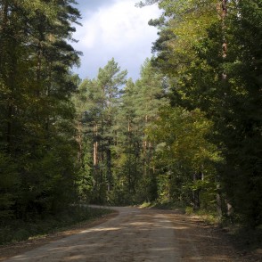 Road to LLU Horse Training Center Mušķi Road to LLU Horse Training Center Mušķi