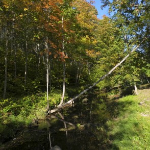 Vilce Ravine at Bridge to Baron Trail Vilce Ravine at Bridge to Baron Trail