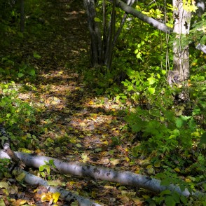 Trail to Vella (Devil's) Ravine Trail to Vella (Devil's) Ravine