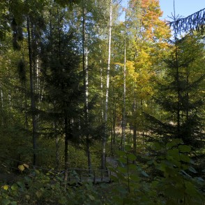 Ravine of Vilce Ravine of Vilce