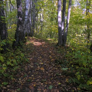 Barona Trail in Vilce Nature Park Barona Trail in Vilce Nature Park