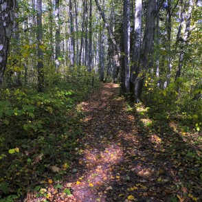 Barona Trail in Vilce Nature Park Barona Trail in Vilce Nature Park