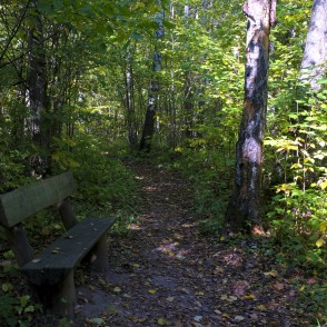 Barona Trail in Vilce Nature Park Barona Trail in Vilce Nature Park