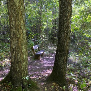 Bench in Barona Trail of Vilce Nature Park Bench in Barona Trail of Vilce Nature Park