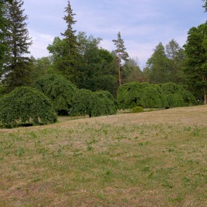 Grašu muižas parks Grašu muižas parks