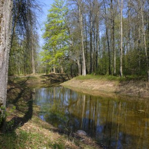 Eleja Manor Park and Pond in Spring Eleja Manor Park and Pond in Spring