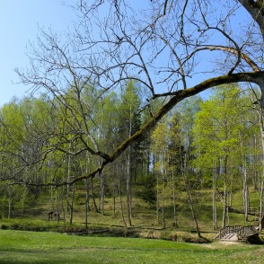 View of Bridge at Beginning of Barona Trail and Lielmāte Spring View of Bridge at Beginning of Barona Trail and Lielmāte Spring