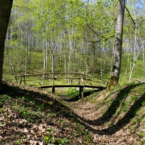 Vilce Ravine Spring Landscape Vilce Ravine Spring Landscape