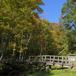 Bridge over Vilce River at Lielmāte Spring Bridge over Vilce River at Lielmāte Spring