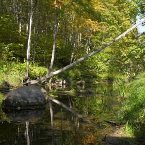 Vilce Ravine at Bridge to Baron Trail Vilce Ravine at Bridge to Baron Trail