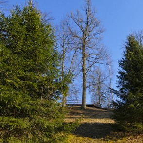 Vilce Castle mound Spruces Vilce Castle mound Spruces