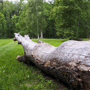 Nature Park "Vilce" Nature Park "Vilce"