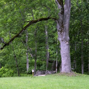 Nature Park "Vilce" Nature Park "Vilce"