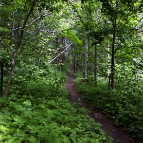 "Barona" Trail of Vilce Nature Park "Barona" Trail of Vilce Nature Park