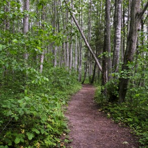 "Barona" Trail of Vilce Nature Park "Barona" Trail of Vilce Nature Park