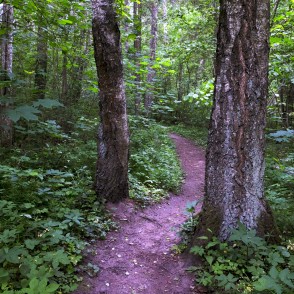 "Barona" Trail of Vilce Nature Park "Barona" Trail of Vilce Nature Park