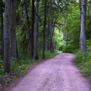 Nature Trail to "Zaķu" Meadow Nature Trail to "Zaķu" Meadow